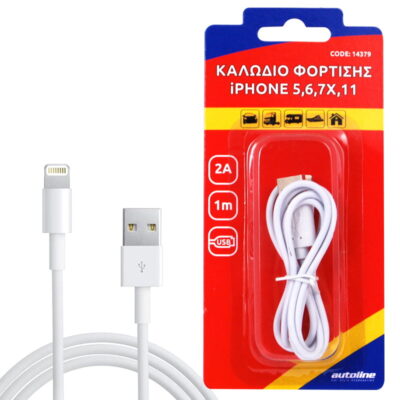 VL Garage - ΚΑΛΩΔΙΟ ΦΟΡΤΙΣΗΣ LIGHTNING 1m - VL-14379